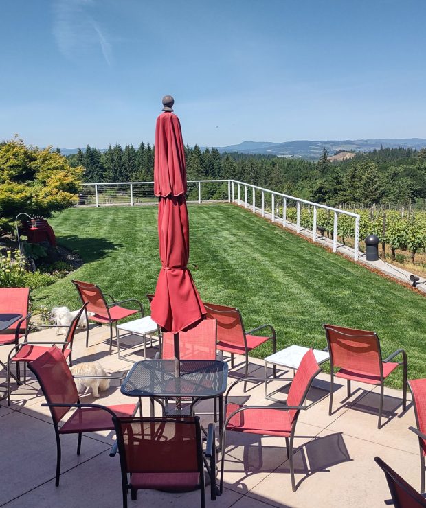 Lawn-Tasting-View