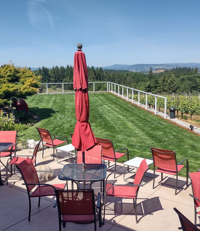 Lawn-Tasting-View